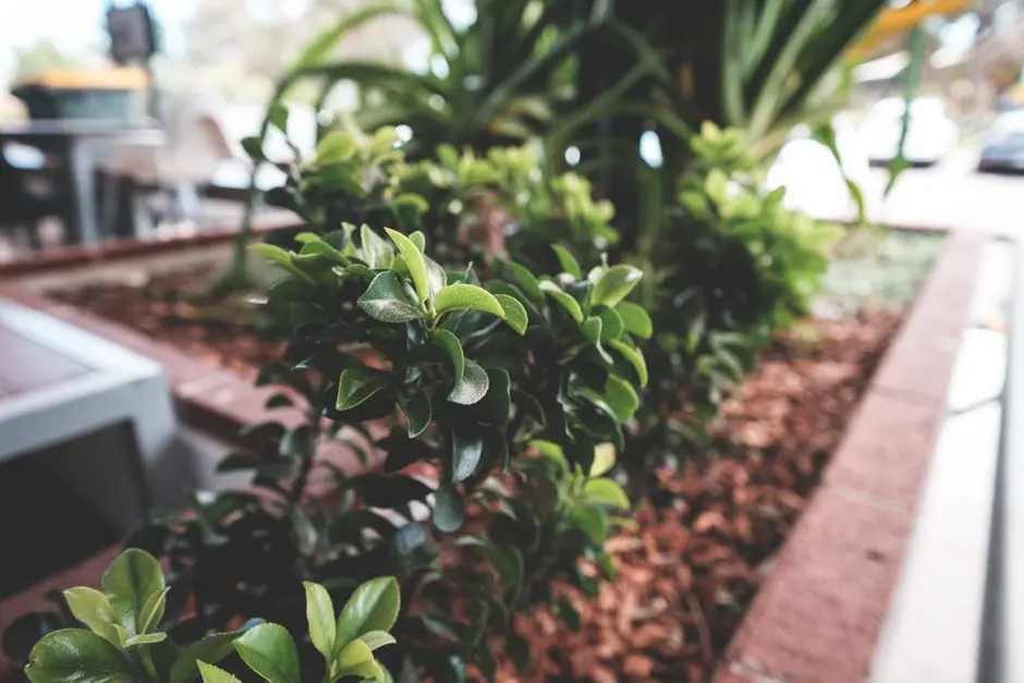Greens & Outdoors at NAMBIAR SOHO OF THE SILICON VALLEY, Muthanallur Cross, Bangalore