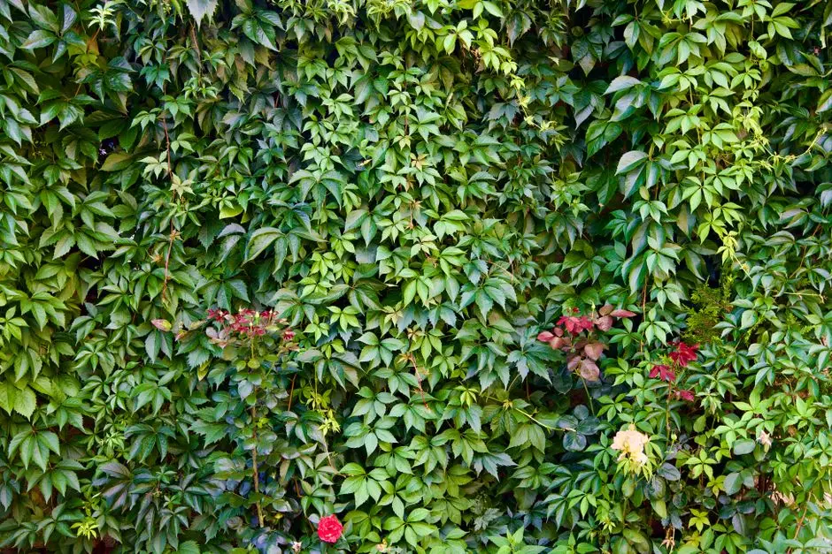 Greens & Outdoors at NAMBIAR DISTRICT 25 PHASE III, Sarjapur Road, Bangalore