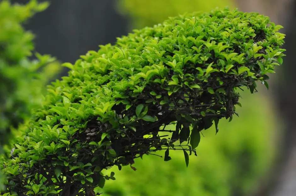 Greens & Outdoors at NAMBIAR BEVERLY PARK, Bilwaradahalli, Bangalore